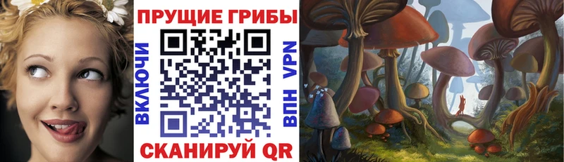 Галлюциногенные грибы Magic Shrooms  закладки  Липецк 